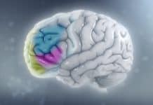 A New Outbreak of ADHD in Adults