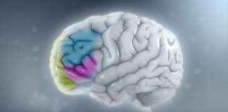 A New Outbreak of ADHD in Adults