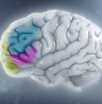 A New Outbreak of ADHD in Adults