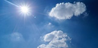 Is Vitamin D Really That Important? Studies Suggest That the Human Body Can’t Survive Without It