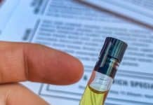 How to Choose the Best CBD Products