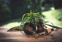 The Role Of Cbd Oil In Pain Relief Treatment