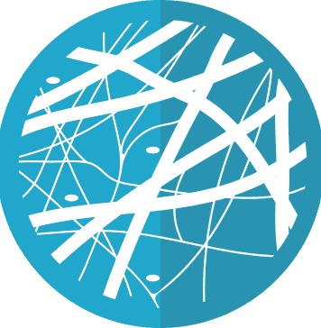 The Secrets of Collagen: The Key to Young Skin and Healthy Joints