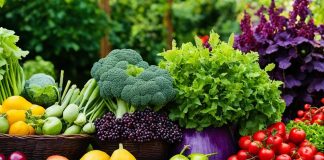 Natural Food Colors Manufacturing Insights natural colors