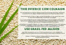 Grass-Fed Collagen Explained: Health Benefits & Uses Grass-Fed Collagen and Grain-Fed Collagen Comparison