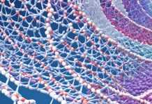 Why Does Collagen Make Me Sleepy? Reasons Explained protein structure of collagen