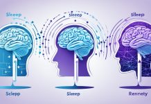 what is core sleep sleep cycle stages